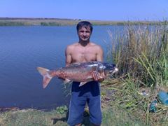 pescuit